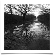 Cycletrack-through-Lymm - Gina Armstrong